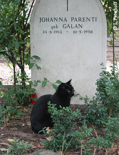 Katzen am Friedhof